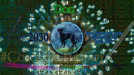 Zo-Disc Dog background 1
