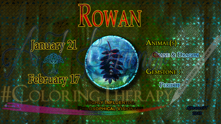 Zo-disc Rowan background 1