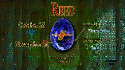 Reed: Oct 28 - Nov 24