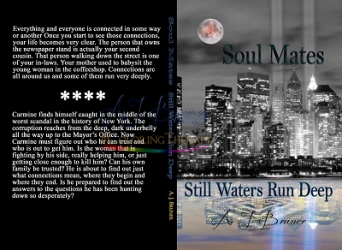 Soul Mates: Still Waters Run Deep (hb)