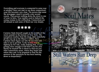 Soul Mates: Still Waters Run Deep (hb, lp)
