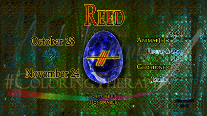 Reed: Oct 28 - Nov 24 - Click Image to Close