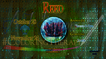 Reed: Oct 28 - Nov 24 - Click Image to Close